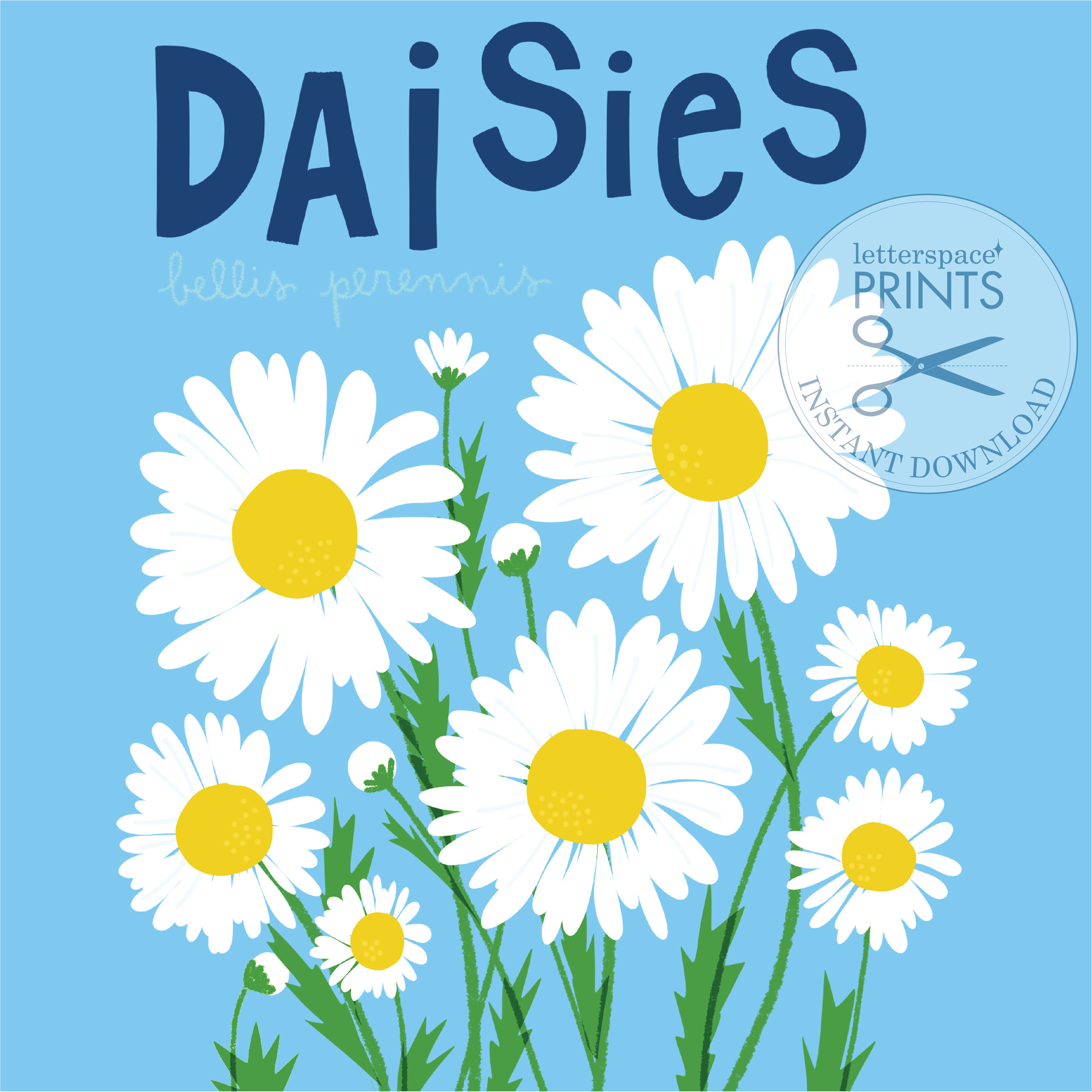 daisyプロフィール必読 Daisy Flower PRINTABLE Art, Cheerful Floral Wall Art — letterspace